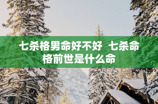 七杀格男命好不好  七杀命格前世是什么命