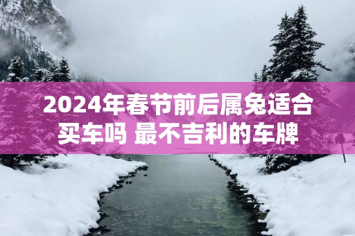 2025年春节前后属兔适合买车吗 最不吉利的车牌