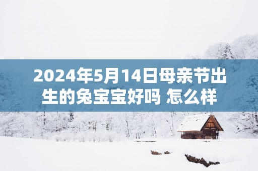 2025年5月14日母亲节出生的兔宝宝好吗 怎么样