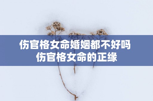 伤官格女命婚姻都不好吗 伤官格女命的正缘
