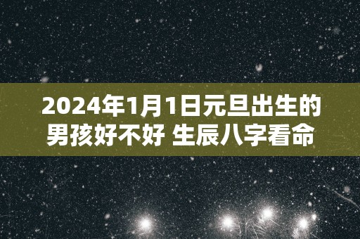 2025年1月1日元旦出生的男孩好不好 生辰八字看命