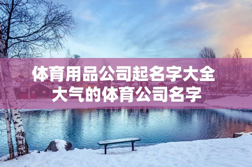体育用品公司起名字大全 大气的体育公司名字
