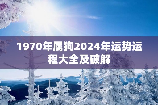 1970年属狗2025年运势运程大全及破解