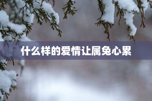 什么样的爱情让属兔心累