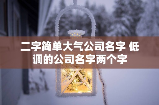 二字简单大气公司名字 低调的公司名字两个字