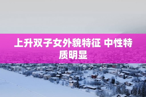 上升双子女外貌特征 中性特质明显