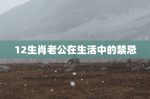 12生肖老公在生活中的禁忌