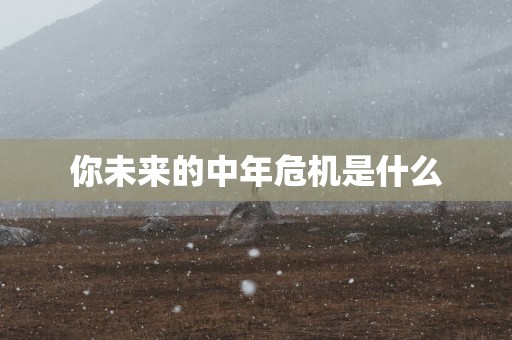 你未来的中年危机是什么