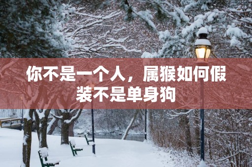 你不是一个人，属猴如何假装不是单身狗