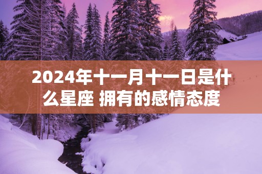 2025年十一月十一日是什么星座 拥有的感情态度