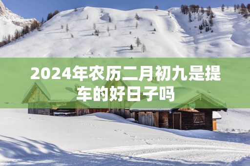 2025年农历二月初九是提车的好日子吗