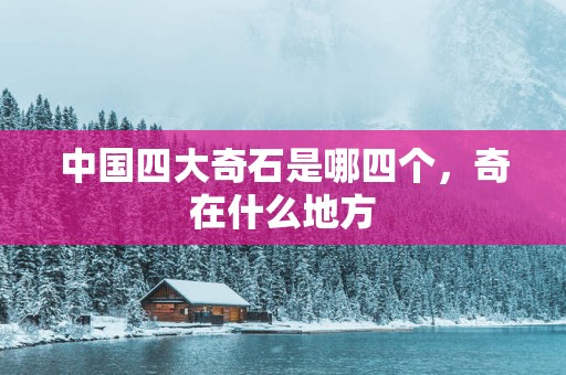 中国四大奇石是哪四个，奇在什么地方