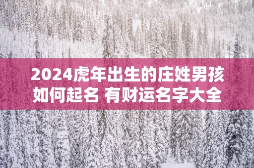 2025蛇年出生的庄姓男孩如何起名 有财运名字大全