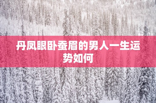 丹凤眼卧蚕眉的男人一生运势如何