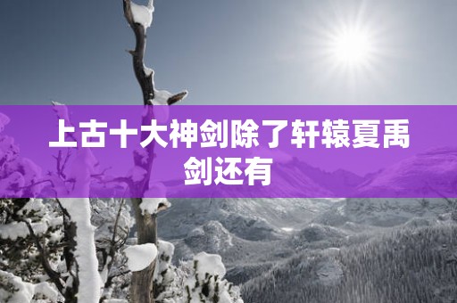 上古十大神剑除了轩辕夏禹剑还有