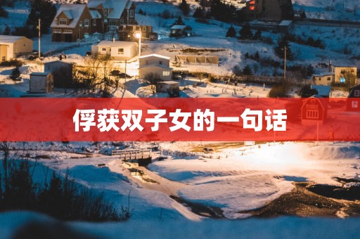 俘获双子女的一句话