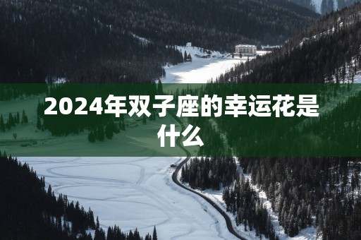 2025年双子座的幸运花是什么