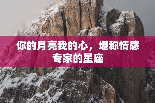你的月亮我的心，堪称情感专家的星座