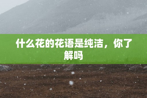 什么花的花语是纯洁，你了解吗