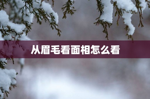 从眉毛看面相怎么看