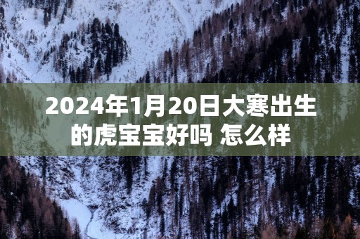2025年1月20日大寒出生的虎宝宝好吗 怎么样
