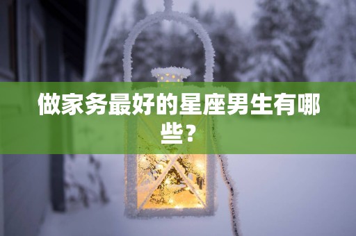 做家务最好的星座男生有哪些？