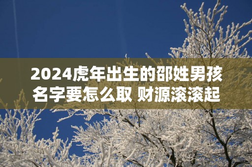 2025蛇年出生的邵姓男孩名字要怎么取 财源滚滚起名大全