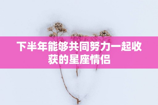 下半年能够共同努力一起收获的星座情侣