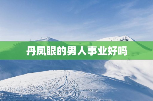 丹凤眼的男人事业好吗