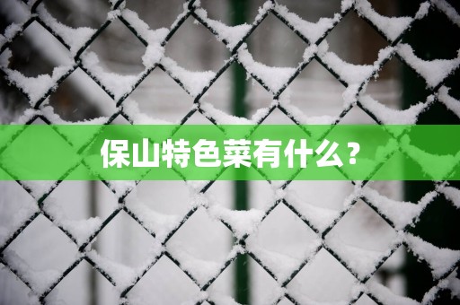 保山特色菜有什么？