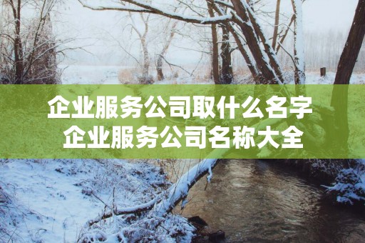 企业服务公司取什么名字 企业服务公司名称大全