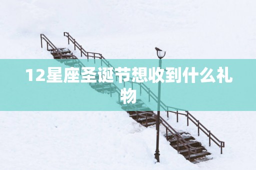 12星座圣诞节想收到什么礼物