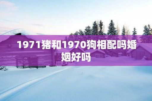 1971猪和1970狗相配吗婚姻好吗