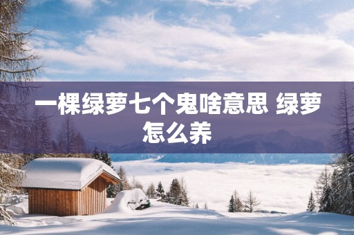 一棵绿萝七个鬼啥意思 绿萝怎么养