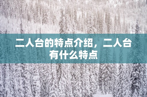 二人台的特点介绍，二人台有什么特点