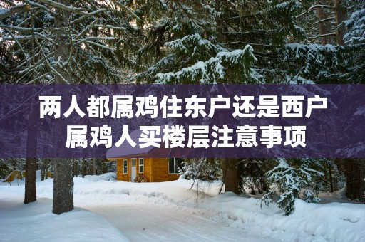 两人都属鸡住东户还是西户 属鸡人买楼层注意事项