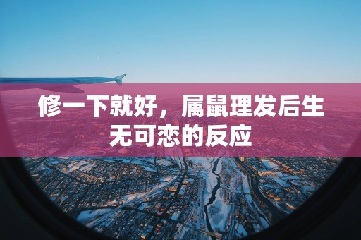 修一下就好，属鼠理发后生无可恋的反应