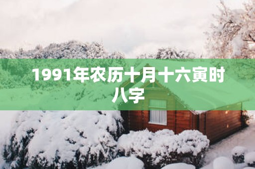1991年农历十月十六寅时八字