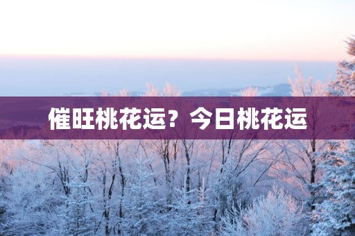 催旺桃花运？今日桃花运