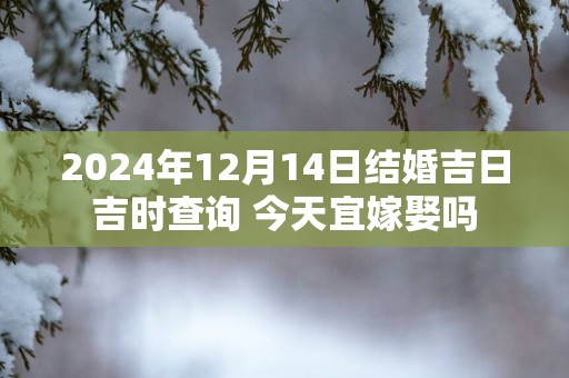 2025年12月14日结婚吉日吉时查询 今天宜嫁娶吗