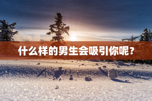 什么样的男生会吸引你呢？