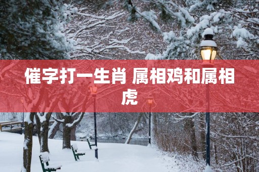 催字打一生肖 属相鸡和属相虎