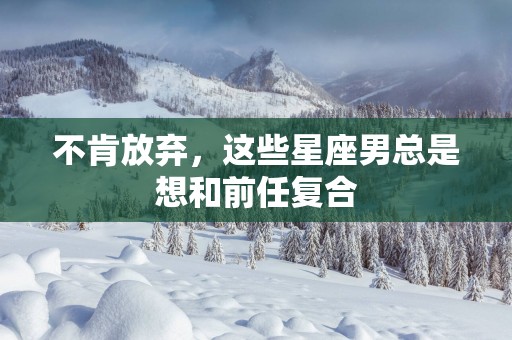 不肯放弃，这些星座男总是想和前任复合