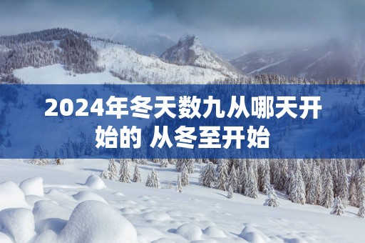 2025年冬天数九从哪天开始的 从冬至开始