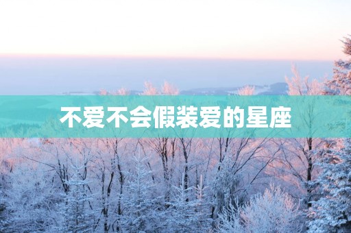 不爱不会假装爱的星座