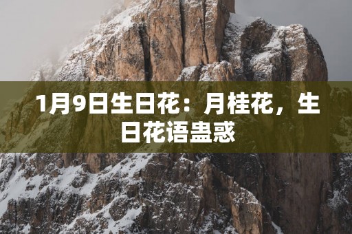 1月9日生日花：月桂花，生日花语蛊惑