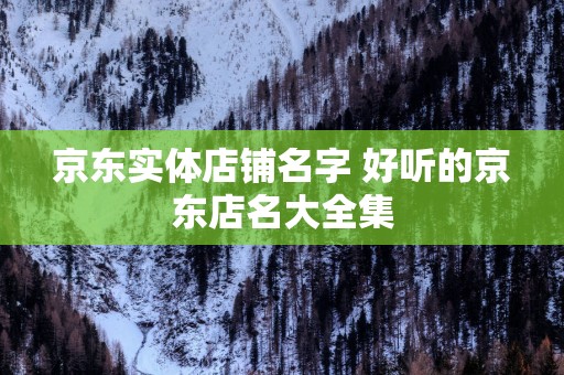 京东实体店铺名字 好听的京东店名大全集