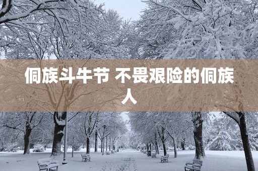 侗族斗牛节 不畏艰险的侗族人