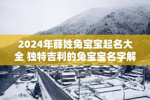 2025年薛姓兔宝宝起名大全 独特吉利的兔宝宝名字解析