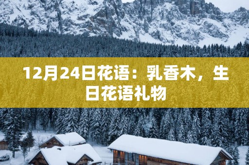 12月24日花语：乳香木，生日花语礼物